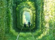 【愛のトンネル】ウクライナにある緑に囲まれたロマンチックなトンネル